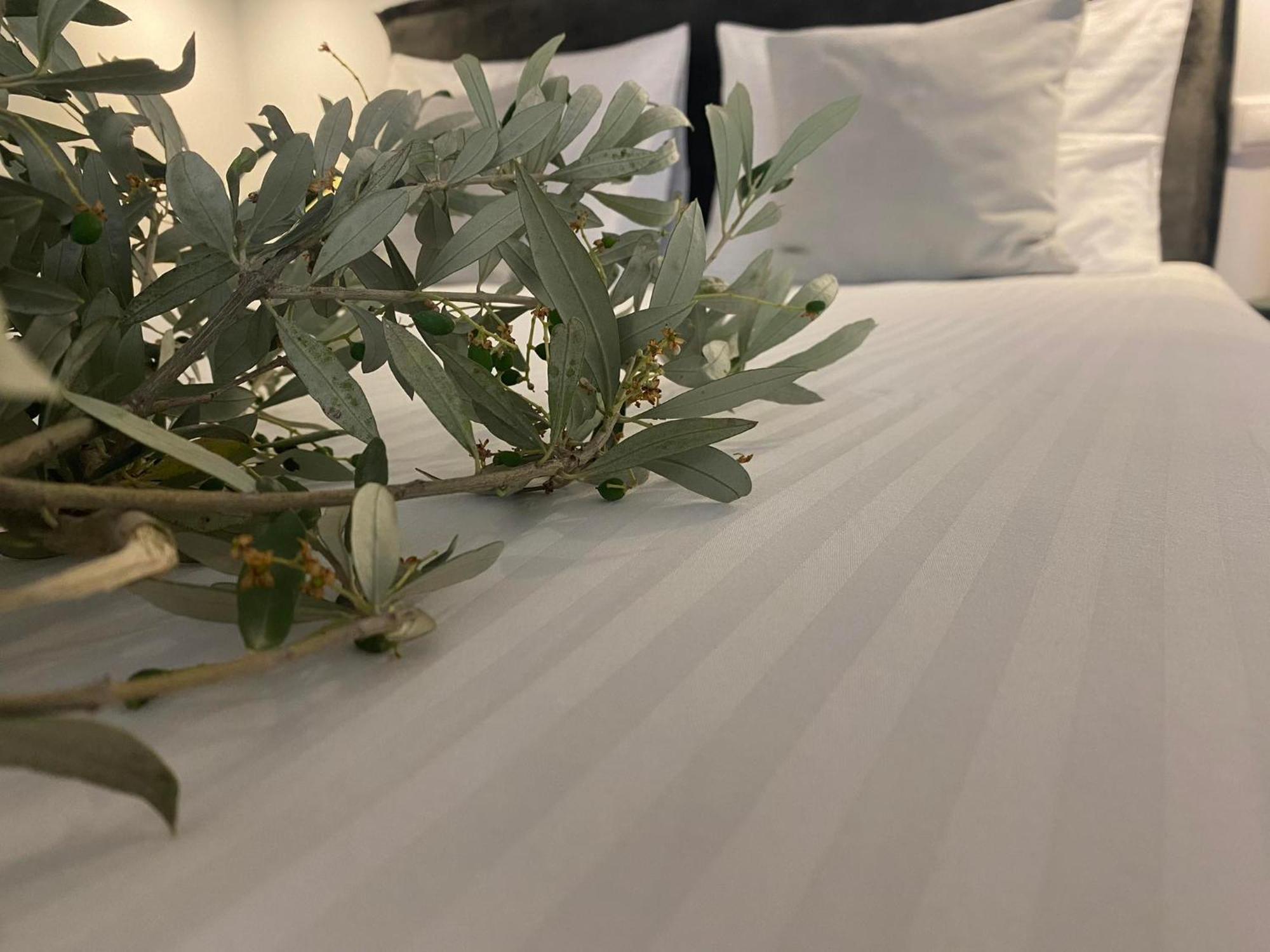 Oniropetra Luxury Suites Armakha Buitenkant foto